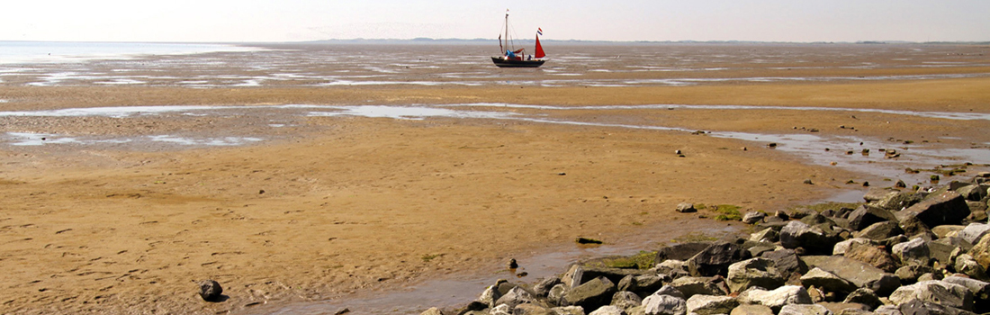 individuele begeleiding